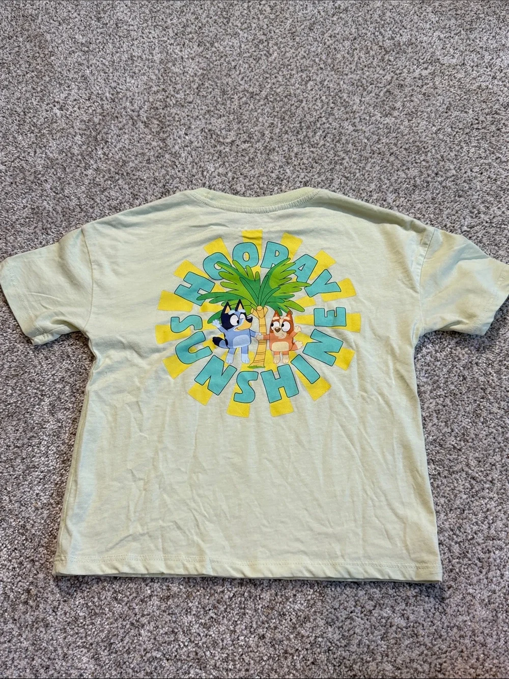 Bluey 'Hooray Sunshine' Set with Blue Character Shorts - 5T